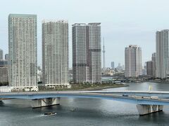 晴海大橋、東京スカイツリーをズームします。