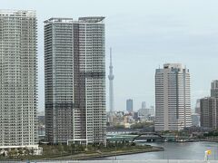 こんなに下の部分まで東京スカイツリーが見えます。

ある意味、こちらのホテルからは東京タワーよりも
東京スカイツリーの方がよく見えるので、全く見えない
「ラビスタフォース〔ビューテラス〕」よりも景色的にはよいのかも？

夜になってライトアップされるともっときれいな夜景が楽しめます☆彡