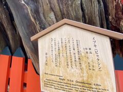 水谷神社