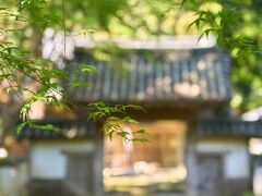 次は如法寺へ。

お寺の御堂の近くにある小さな駐車場に止めて訪れましたが、徒歩だとかなりの階段を登らないといけない様子でした。