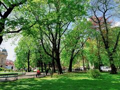緑がとても鮮やかでキレイ!　地元の人たちの憩いの場になってる、平和な公園でした。