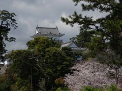 宿から小田原へ。
小田原駅まで行かずに、お城に近いバス停で下車。
桜満開の城内を歩いて駅まで行くことにしました。