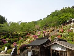 さて、前述のように大津山阿蘇神社はつつじの名所です。
2023年４月18日、つつじの下見にやってきました。