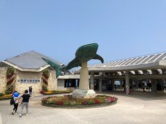 そして久しぶりの美ら海水族館へ！

何年ぶりだろう
多分7年ぶりくらいかな？

海洋博公園には時々来てるんだけどね
海洋文化館とかマナティ館とか