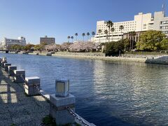 さて、先程の道を戻る。
徳島の街を流れるこの新町川は、川沿いが整備されていて、凄くよい雰囲気だった。