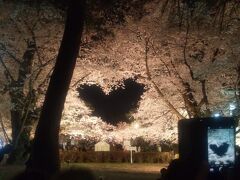 桜のピンク色の花びらの向こうにハートの夜空が
クッキリと現れました。
桜の枝がトリミングされてライトアップされると桜の花の向こうに
ハート形の空が透けて見えます。
夜が更けるとこのハート形はさらに鮮やかな桜色に縁どられます。
ここは南内門近くの桜林の一角にあるコーナーですが
ライトアップされると大勢の観光客がそれぞれにカメラを
構えて撮影していました。
弘前公園花まつり人気スポットの一つです。