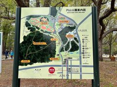 早めに出てきたので、午前９時半到着。

円山動物園には、子供たちが小さいとき来て以来だからもう３０年近くいってないかな～。
基本動物はあまり得意じゃないので。^^;
円山原始林はまだ行ってないので、いつかは行かなくちゃ。