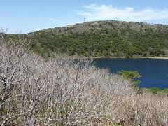 左から右に目を移すと、まず白紫池
池は火口湖
霧島にはこうした噴火火口湖が４８もあるそうだ
手前の枯れ木の枝ぶりの細かいこと！