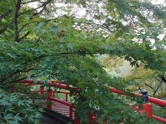 伊香保神社を通り過ぎて河鹿橋へ

飲む温泉も近くにあるので一緒に行くのがオススメです

ここは紅葉どころか見事の新緑w
いつか紅葉のときに来てみたいな