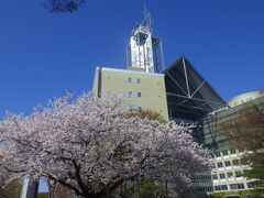 「富山市役所展望塔」に行きました。車はちょっと待ちましたが市役所地下の駐車場に停めることができ、