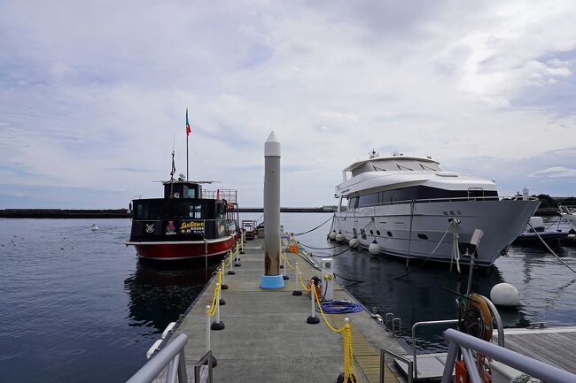 トラピックス 熱海の絶景のリゾートホテル！熱海温泉 玉の湯（3）遊覧船でカモメと遊び、スコットでビーフシチューとアワビのコキュールに舌鼓み。』熱海(静岡県)の旅行記・ブログ by kojikojiさん【フォートラベル】