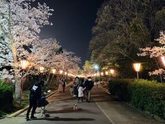 日岡山公園