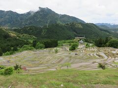 丸山千枚田・・・紀和町丸山地区の斜面に幾重にも描かれた棚田

日本の棚田百選にも選ばれています

1340枚の規模を誇る日本最大級の棚田であり　その景観は日本一と言われるほど圧巻

平成6年に「丸山千枚田条例」の制定

そして地元住民らの協力により復田作業が行われ、現在は1340枚の規模が維持保存

復田された田を利用して　丸山千枚田オーナー制度が実施されており　毎年100組を超えるオーナーが登録

年間を通して稲作体験が行われ、都市住民との交流と棚田保全活動が行われ　見事な景観が保たれています

今まで見た棚田のどこよりも　壮大で雄大

あいにくの曇り空でしたが　初夏のグリーン感じる風景に感動しました
