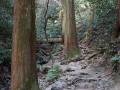 東海道自然歩道起点の碑