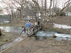 木橋を渡る　磐鏡園プロムナードのこの辺りは雪が解けており、雪解け水が勢いよく流れています。フキノトウが沢山、雪解け跡に芽吹いていました。ミズバショウの花が数輪見られました。この後旅館に向かいます