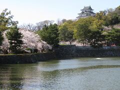 和歌山城公園へ。