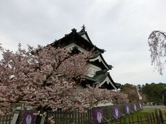 天守閣のある区域は有料となっており、ちょっと迷いましたが、まあそんなに高いわけでもないので、入ってみることにしました。天守閣の周りにも、少ないながらも咲いている桜の木が残っています。