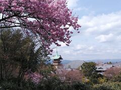 高台寺からの京都市街