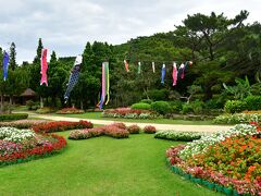 次は熱帯植物園に向かってもらった。雨は降り続いた。それでも、目的地に着くころ止んだ。芝生の所には鯉のぼりが飾られている。

鳥か蝶がいないかと探したが、雨を恐れて遠くまで歩かなかったせいか、収穫は乏しかった。

次の目的地は西平安名崎。また雨が降り出し、激しくなったので、とにかく着いたと池間大橋を渡り池間島へ。本来なら絶景ドライブのはずだが、単に灰色の空間を行っただけだった。それでもめげずに、伊良部大橋へ向かってもらった。