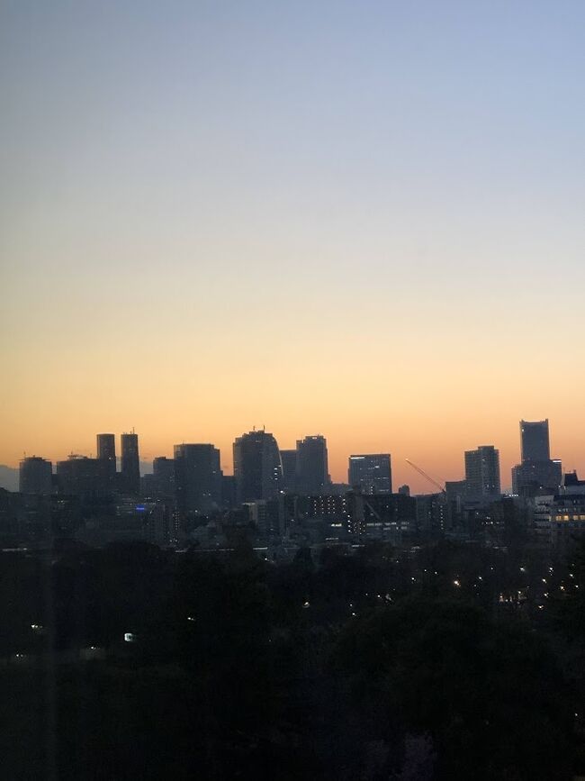 新宿方向・・・頑張れば綺麗に撮れます。<br /><br /><br />夕飯は別々に。<br />私は仕事の会食へ、主人は友達と飲み会に行きます。