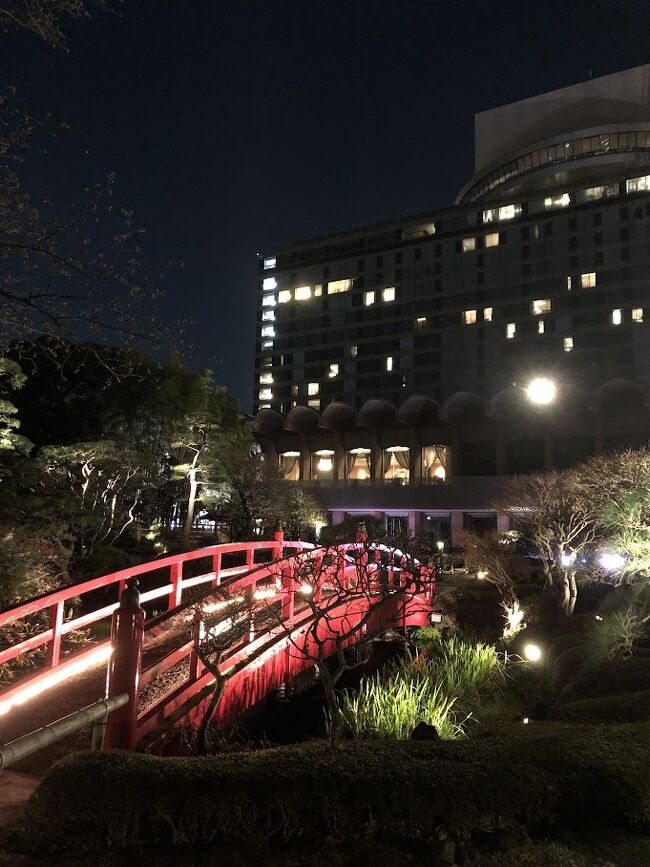 控えめなライトアップが良い雰囲気だわ。<br /><br />