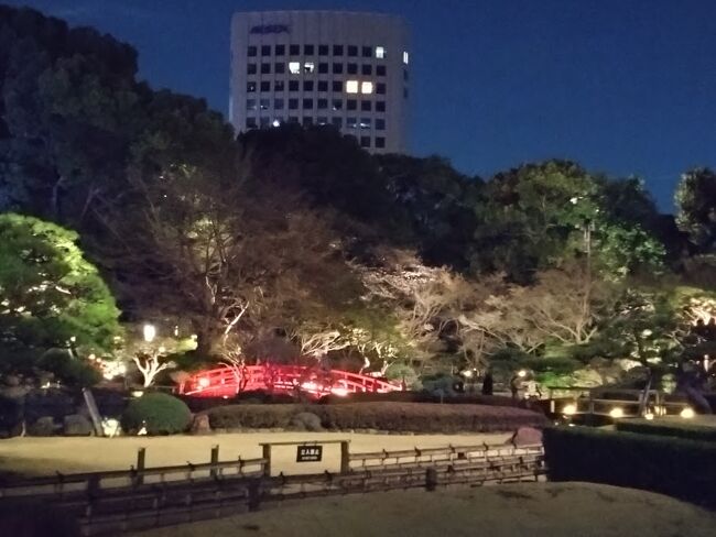 夜の散歩を楽しむお客さんもチラホラ。<br /><br />