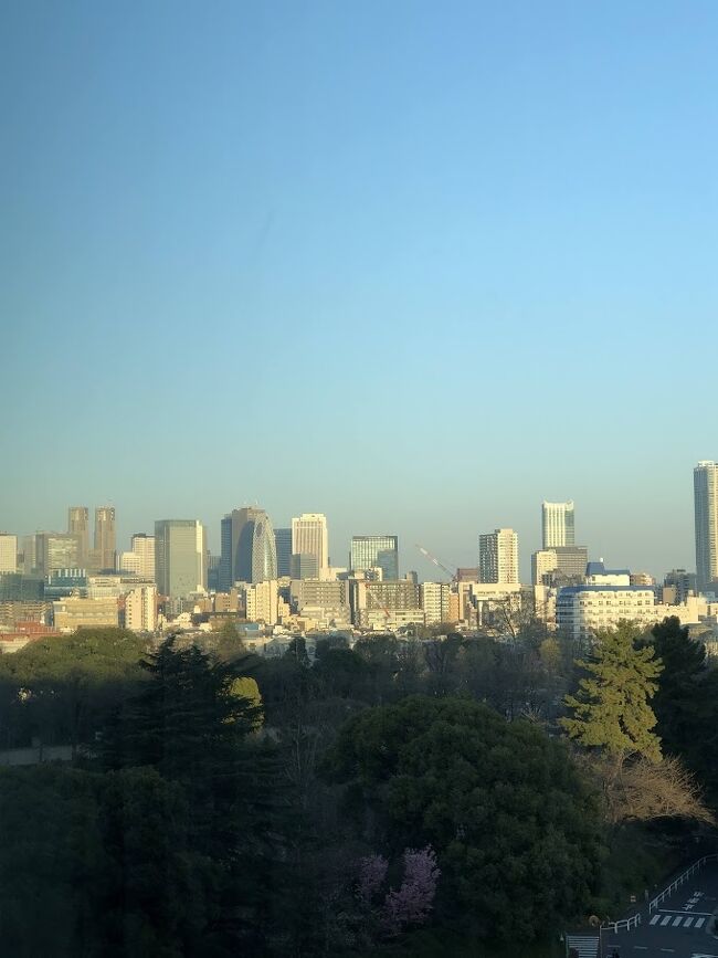 おはようございます。<br />今日も朝から快晴！<br /><br />檜風呂にレモンを浮かべて朝風呂です。