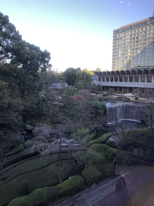 お気に入りの席でお庭を眺めながら美味しく頂きました。<br /><br />