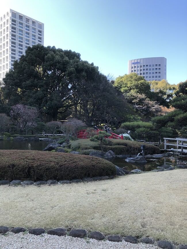 正直、此方のホテルは桜の木はそんなに無いです。＾＾；<br /><br />やっぱりお花見なら、椿山荘のお庭の方が断然見事よね。