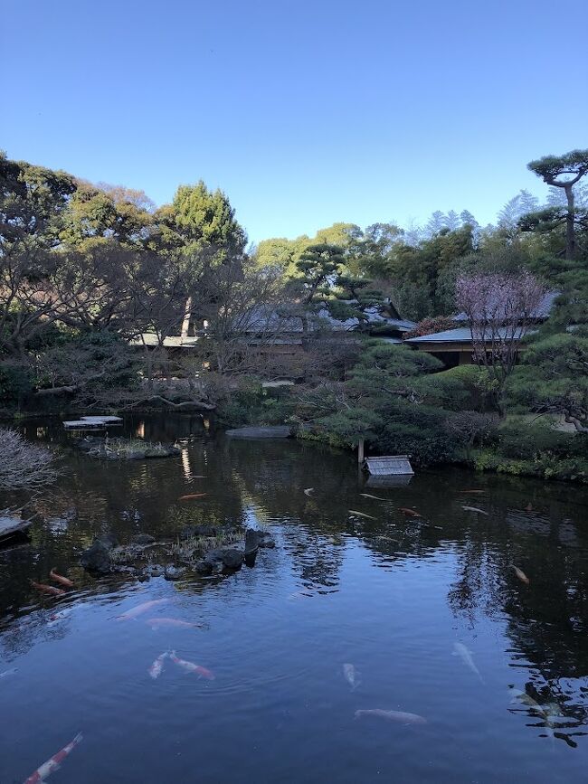 此方は広い池と、水をふんだんに使った滝が良いのよね。