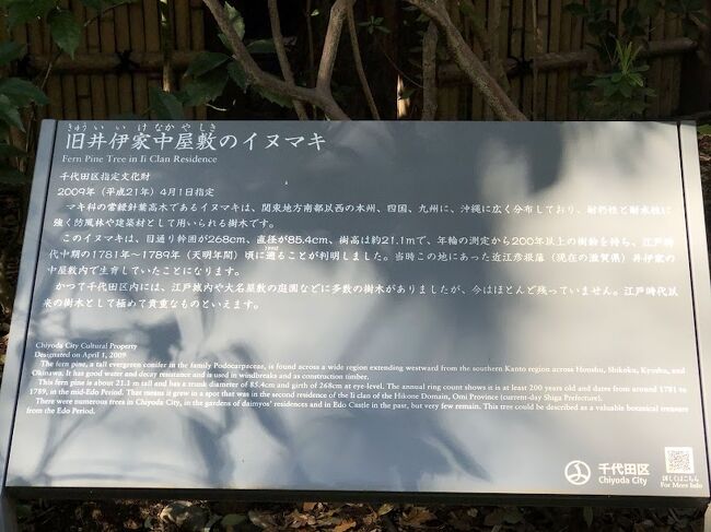 見応えのあるお庭です。<br /><br />