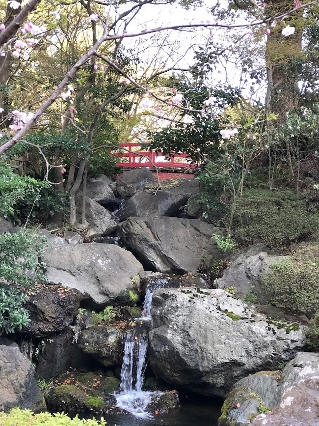 何時も御食事だけで利用しているホテルですが、たまにはゆっくり泊まってみるのも良いわね。