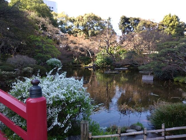 まあうちは今回、タダだから。。。。＾＾；<br /><br />