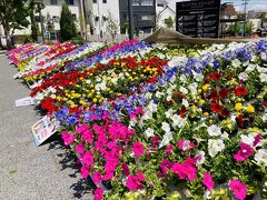 参道をさらに進むと、今度はセントラルスクエアの前にも花壇がありました。
このほか、八十二銀行前やJALシティの前などにもすでに花壇ができていました。

どこかのタイミングで、善光寺花回廊にもいけたら行きたいなぁ。
