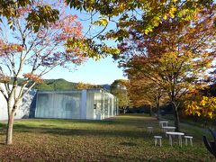 白い建物が映えます。