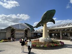 そして、美ら海水族館にやってきました。ここに来るのは２度目。前回は、１時間も滞在できませんでしたが、結局、今回もここに来たのは１５時３０分・・・・同じように駆け足になりそうです。