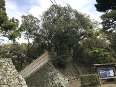 和歌山城は、現在5つの入口があって、バスや徒歩で訪れると、西の丸広場から紅葉渓庭園・天守閣と見学するのが一般的のようです。
