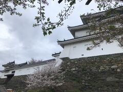 2023桜とお城を巡る旅(4) 紀州徳川家の居城だった和歌山城 2023桜とお城を巡る旅(4) 紀州徳川家の居城だった和歌山城
