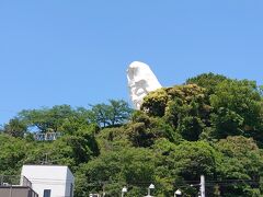 だんだん大きくなってきた