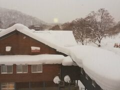 ■2023/1/4
新玉川温泉
昨晩も雪です。積雪量が多いですね！