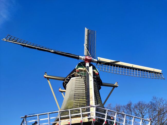 アダム　ジャンプキュー Adam TENGU BLACK ジャンプキュー 商品詳細｜プロショップ