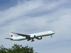 そうなんです、飛行機が見られるスポット、「成田市さくらの山」です。

離発着のアプリを入れておくと航空会社等すぐわかるそうです。