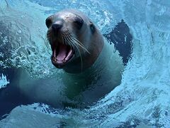 桂浜水族館