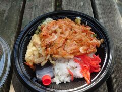 駅横の公園ベンチで食す。
桜えびのかき揚げ丼￥500
イカも入ってた。
カッパえびせんの味がした。
沼津で食べたのよりも風味豊かで美味しかった。
甘ダレと紅しょうががよく合う。
沼津の話は↓
https://4travel.jp/travelogue/11791281