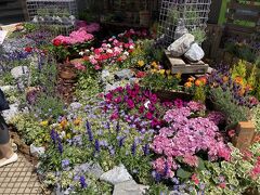 JALシティの前の花壇。
ここから善光寺花回廊が始まります。