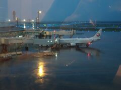 那覇空港でお土産などいろいろ見ていたら・・・、何と外は大雨、今まで晴れていたのに・・。濡れなくて良かった。