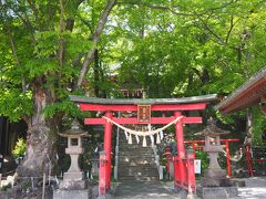 随神門を潜ると鳥居の奥に石段が見えて来ました。
新緑の綺麗な石段の奥には拝殿の屋根が見えています。


