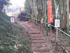 しばらく歩くと、沢田涅槃堂というところに到着します。
ここは山になっていて、この道を上に登ると、桜並木を上から見ることができます。