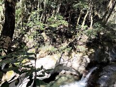 釜滝から10分程度歩くと、2つ目の滝、エビ滝です。高さは5mほどあるそうです。
滝の形が、エビの尻尾に似ていることから名付けれれたそうです。