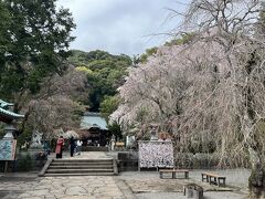 ３６＜伊豆山神社＞
　十国峠から約40分ほどで、「伊豆山神社」に到着。桜が満開でした。